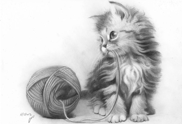 Котенок карандашом