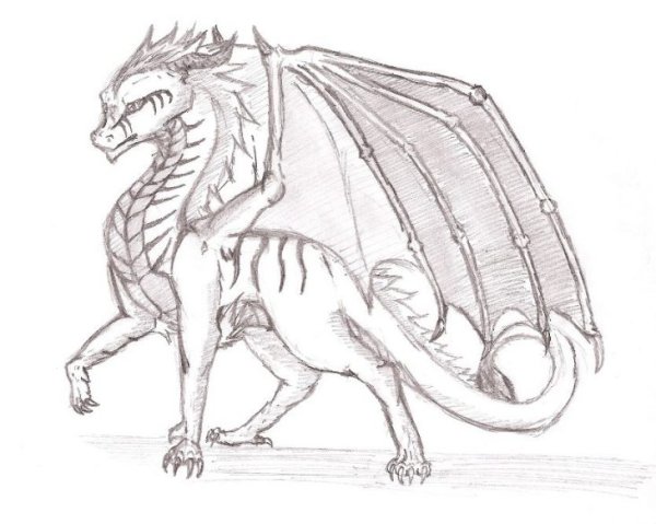 Рисунок дракона для срисовки