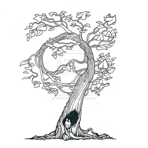 Зарисовки деревьев карандашом простые