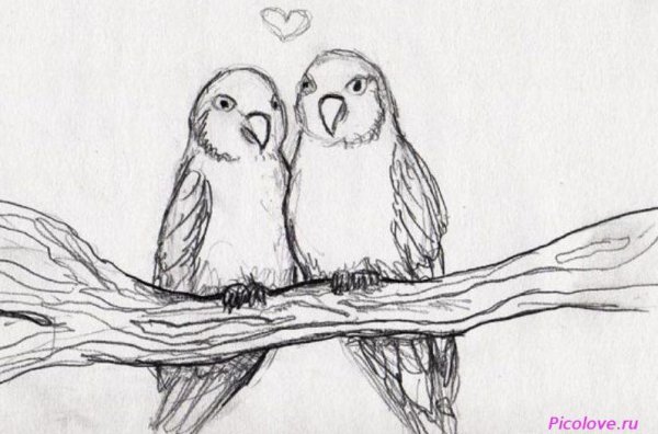 Рисунки для срисовки етички