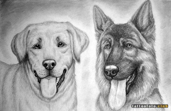 Ариана Гранде арт