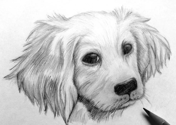 Красивые рисунки карандашом