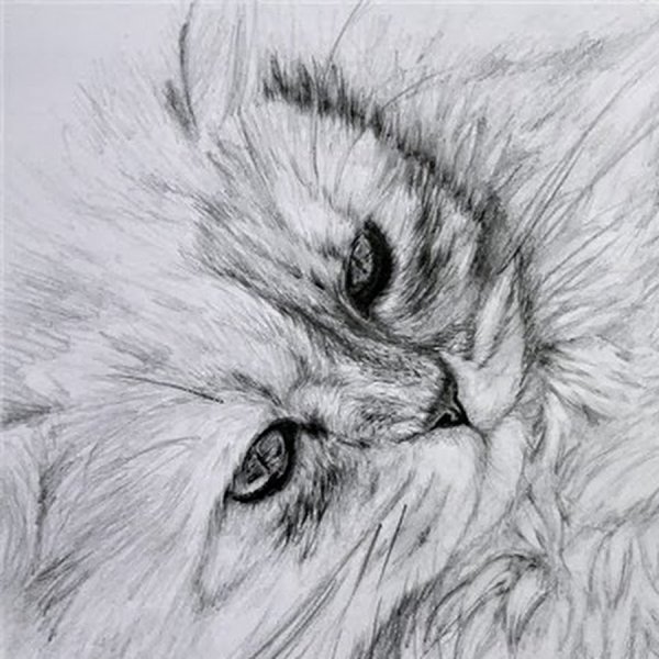 Срисовать рисунки