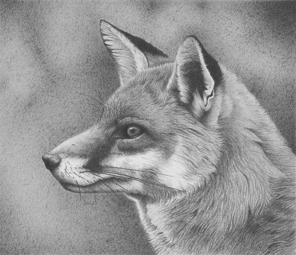 Эскизы карандашом