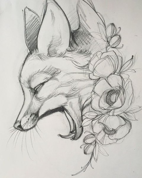 Милые животные карандашом