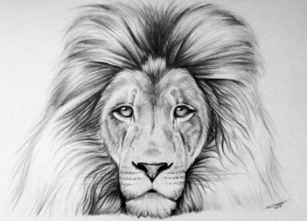 Красивые рисунки карандашом