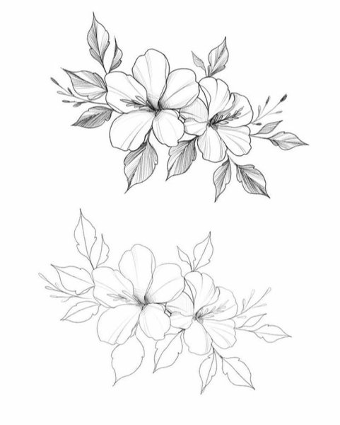 Эскизы цветов