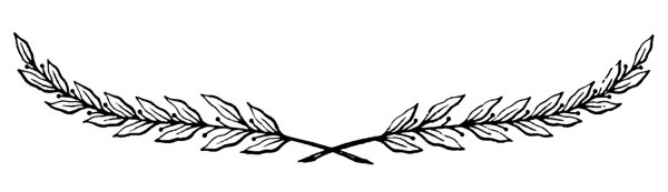 Лавровая ветка тату