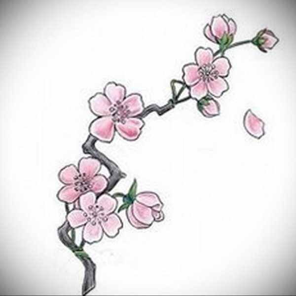 Рисование дерева Сакуры