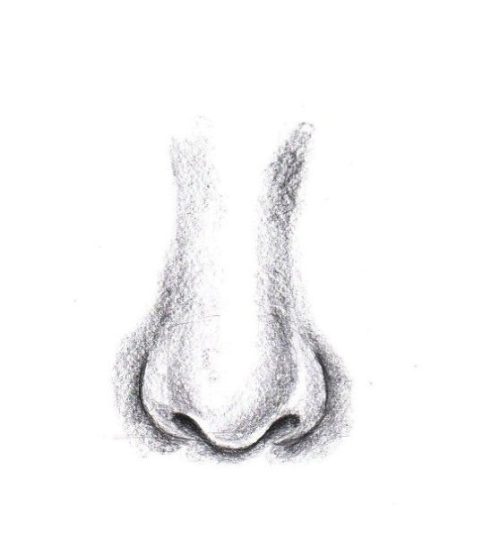 Поэтапное рисование глаз губ носа