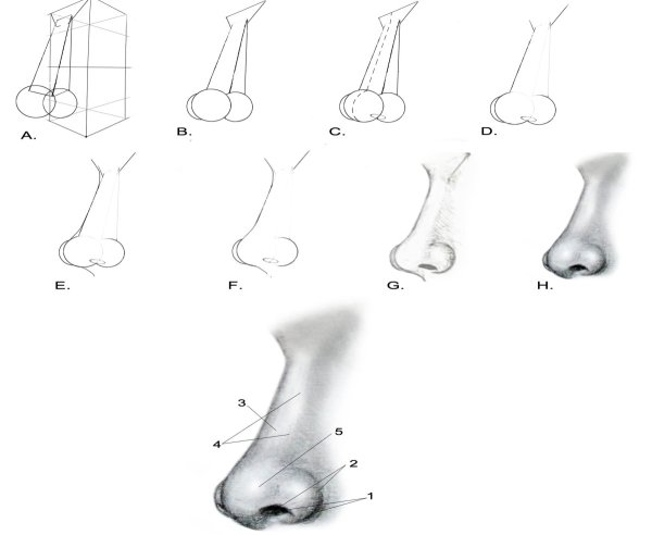 Нос карандашом