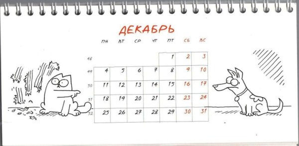 Календарь кот Саймона 2021