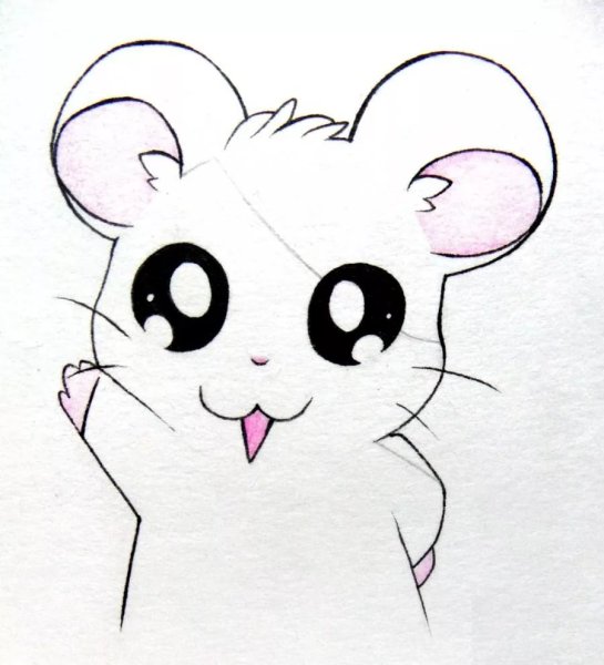 Рисунки лёгкие котики