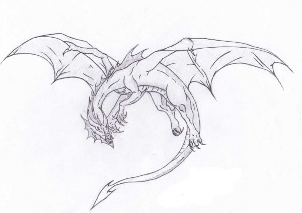 Красивый дракон эскиз