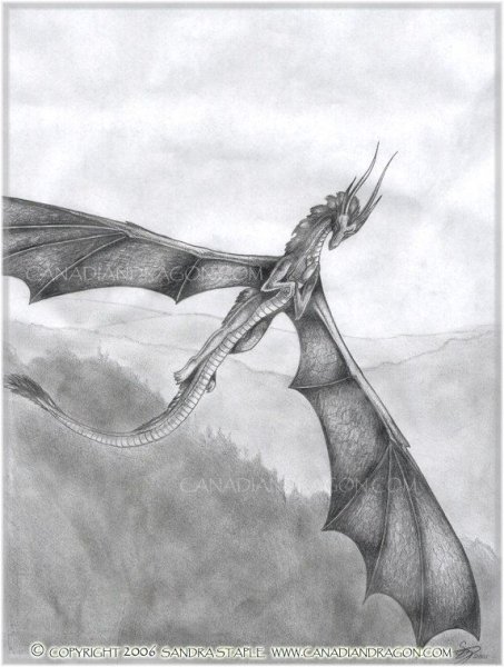 Рисунки драконов карандашом