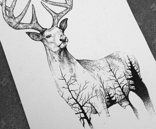 Олень рисунок