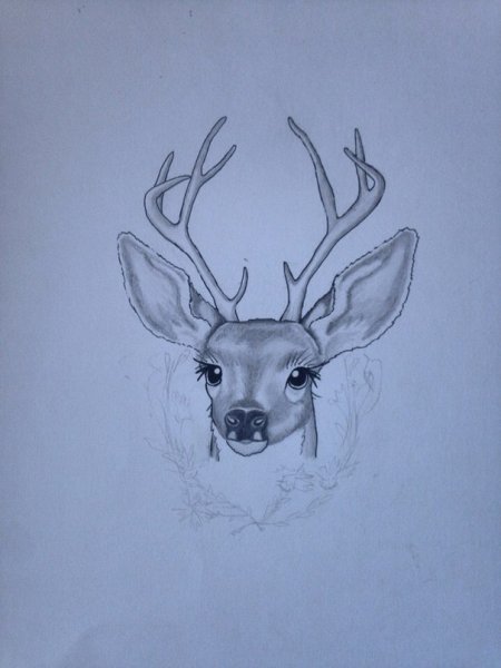 Срисовка оленя легко