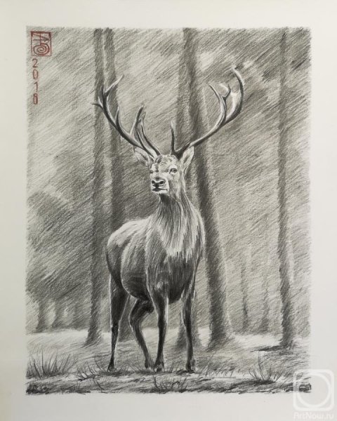Олень простым карандашом
