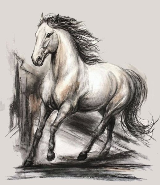 Лошадь карандашом