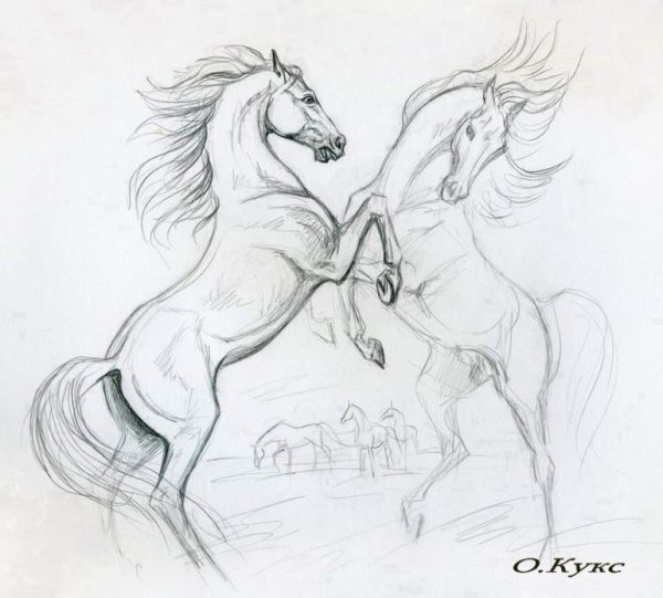 Красивые рисунки лошадей