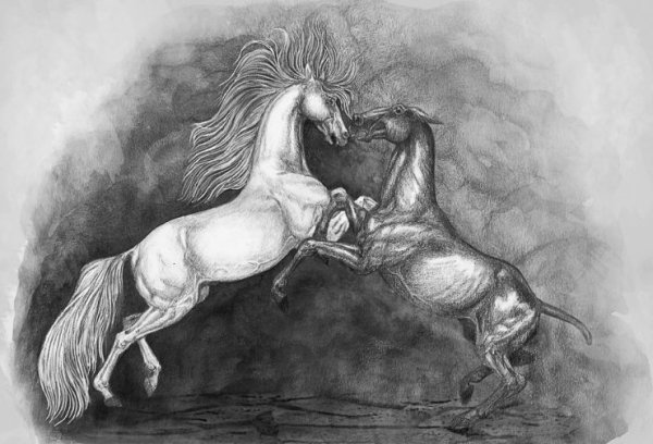 Лошадь карандашом