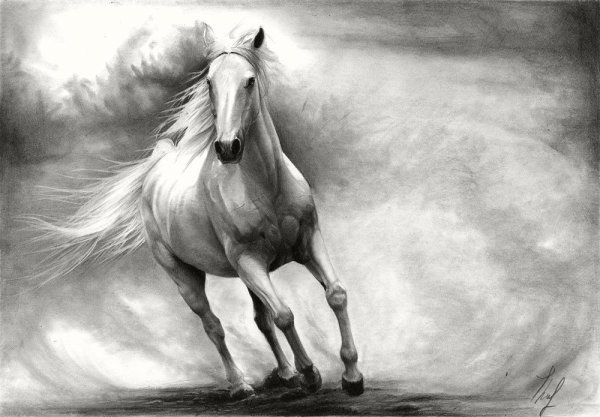 Лошадь рисунок карандашом