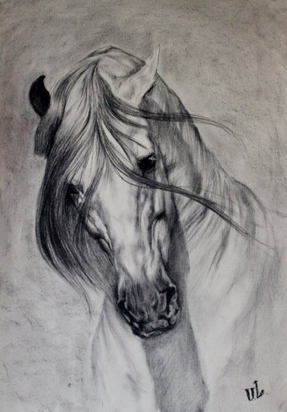 Девушка с лошадью карандашом