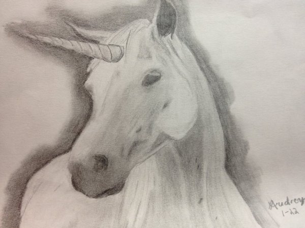 Единорог карандашом