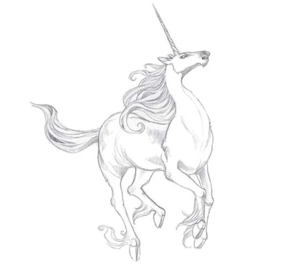 Рисунки для СРИСОВКИЯ К расками