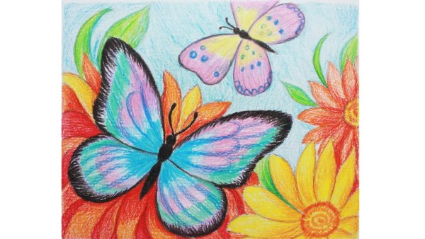 Бабочка цветными карандашами для детей