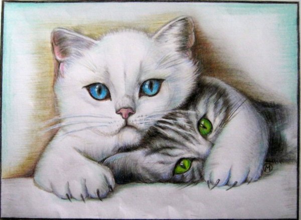 Котенок рисунок