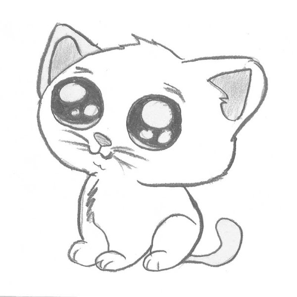 Маленький котенок карандашом