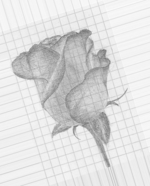 Простые зарисовки карандашом