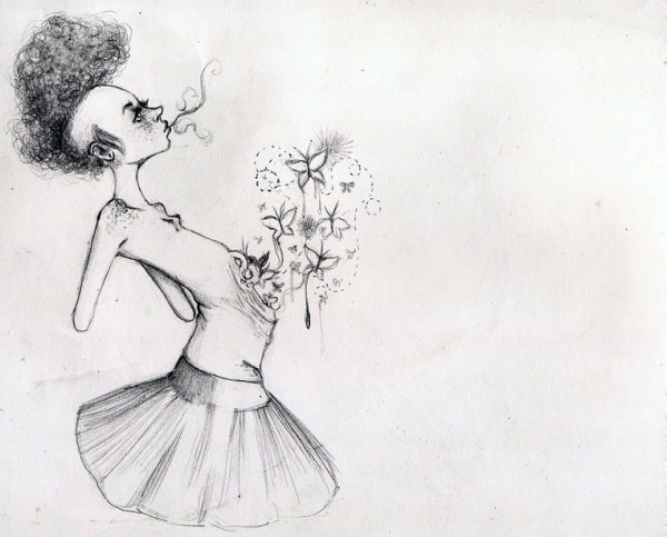 Рисунок волка простым карандашом