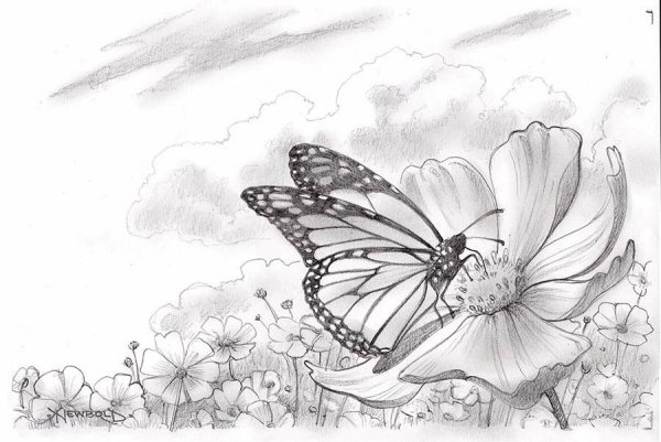 Бабочка для рисования цветов