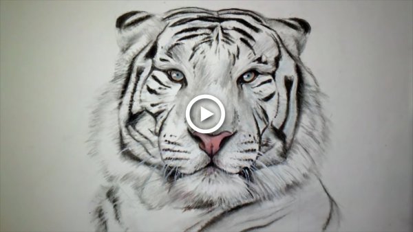 Рисунки цветные