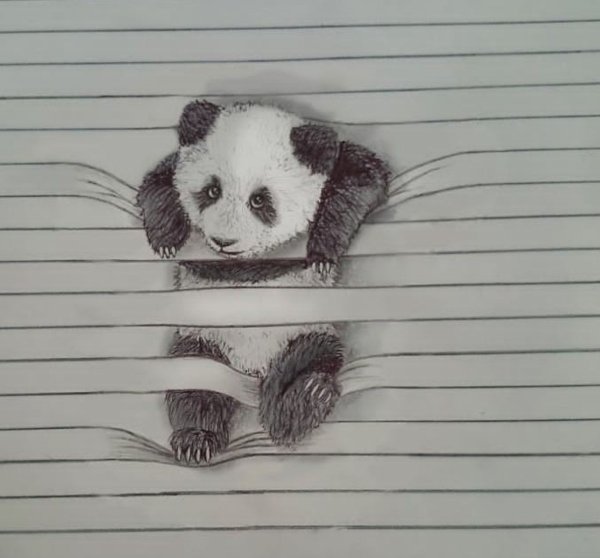 Панда карандашом