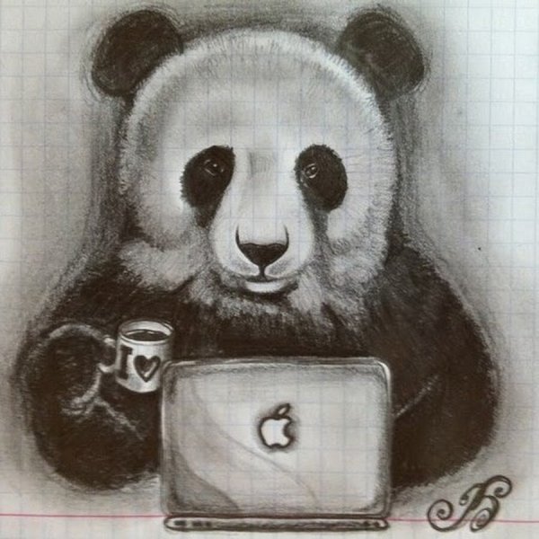 Панда рисунок для срисовки