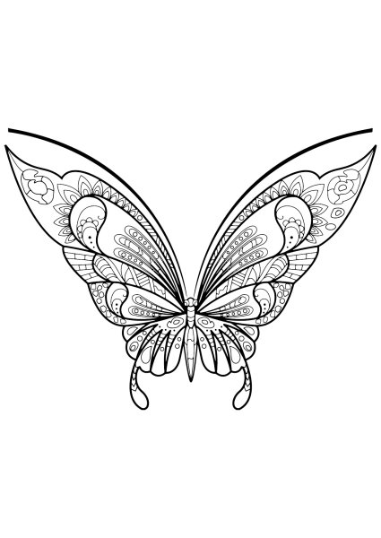 Бабочка карандашом
