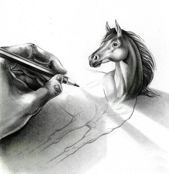 Рисование карандашом профессионально