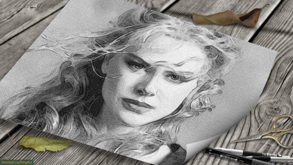 Карандашные иллюстрации