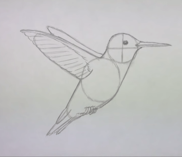 Птица карандашом