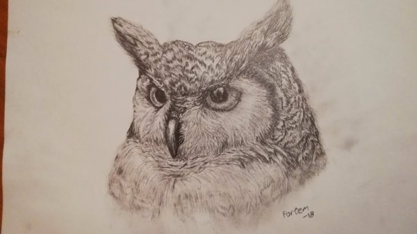 Как нарисовать Сава