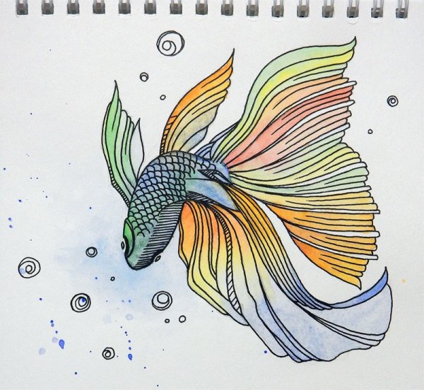 Красивые рыбы для срисовки