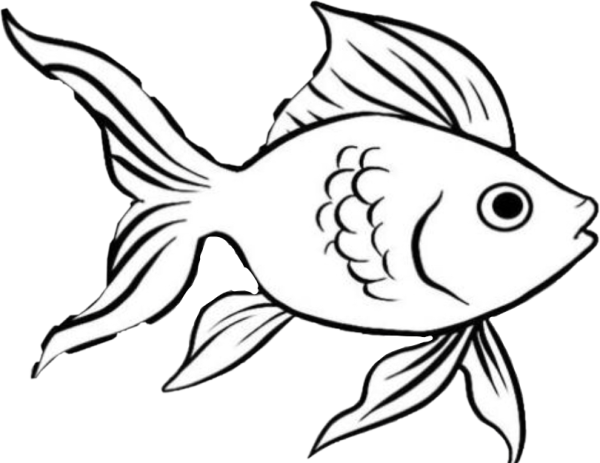 Рыбка рисунок карандашом