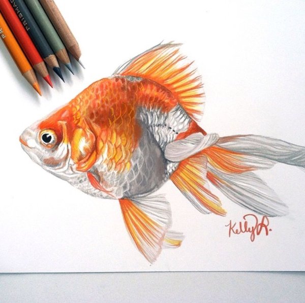 Рыбка цветными карандашами