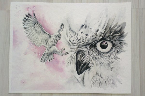 Сова рисунок красиво несложно