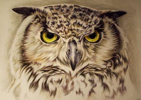 Рисунки каршами цветными