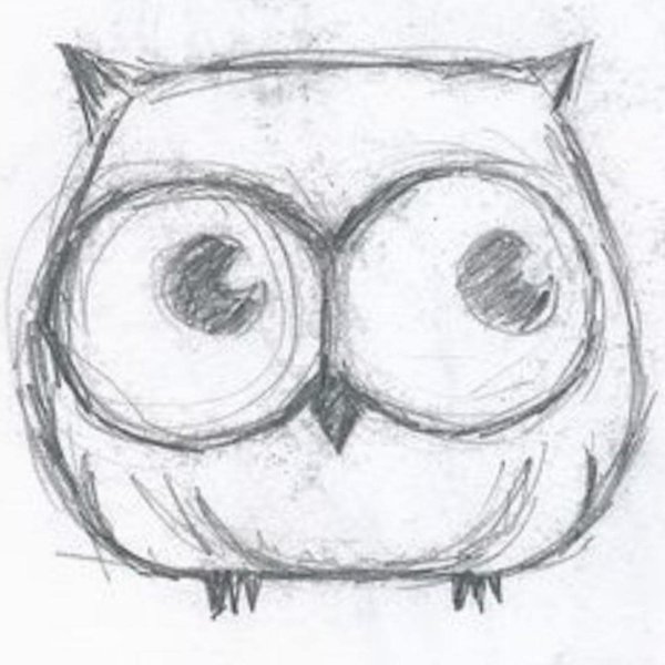 Красивая Сова карандашом