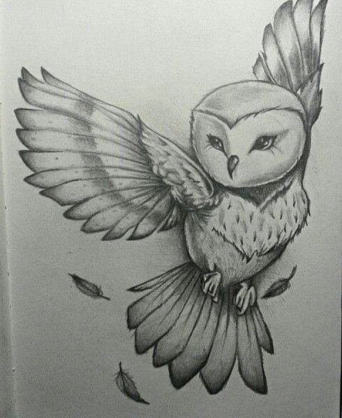 Ова рисунок карандашом